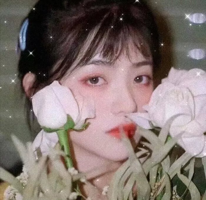 克洛伊